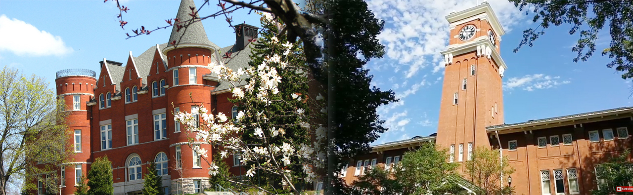 워싱턴 주립대학교 Washington State University 