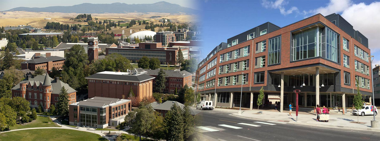 워싱턴 주립대학교 Washington State University 