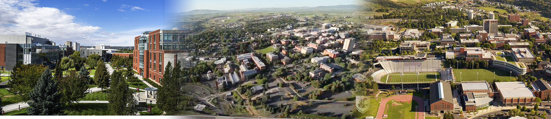 WSU_Head
