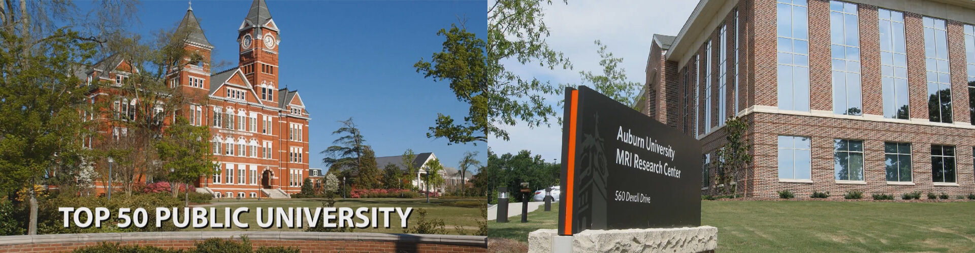 오번대학교 Auburn University