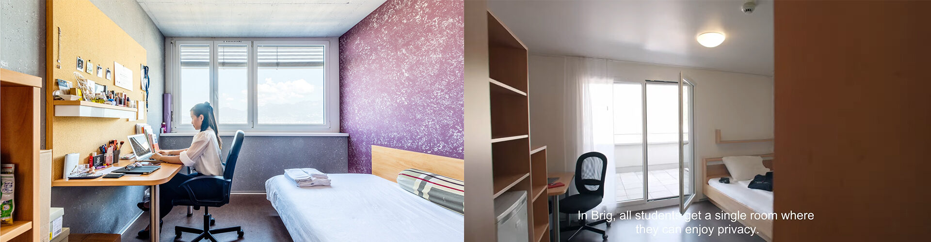 세자르 리츠 호텔경영대학교