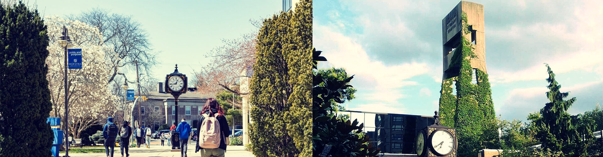 호프스트라대학교