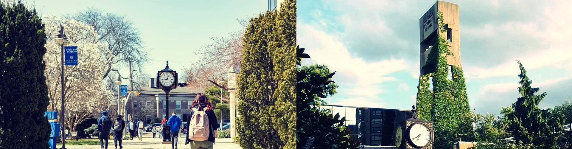 Hoftra University Campus