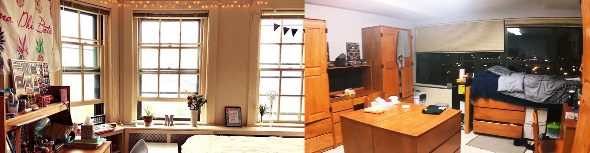 호프스트라대학교 기숙사