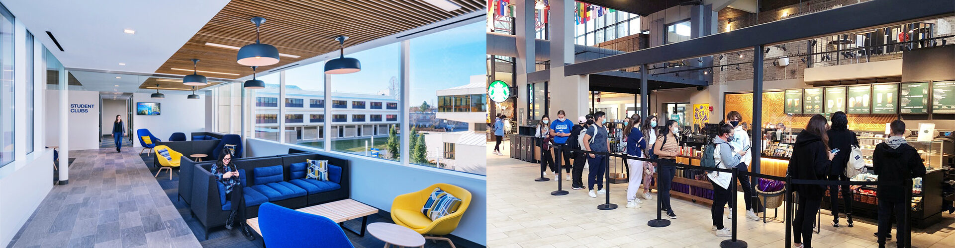 호프스트라대학교