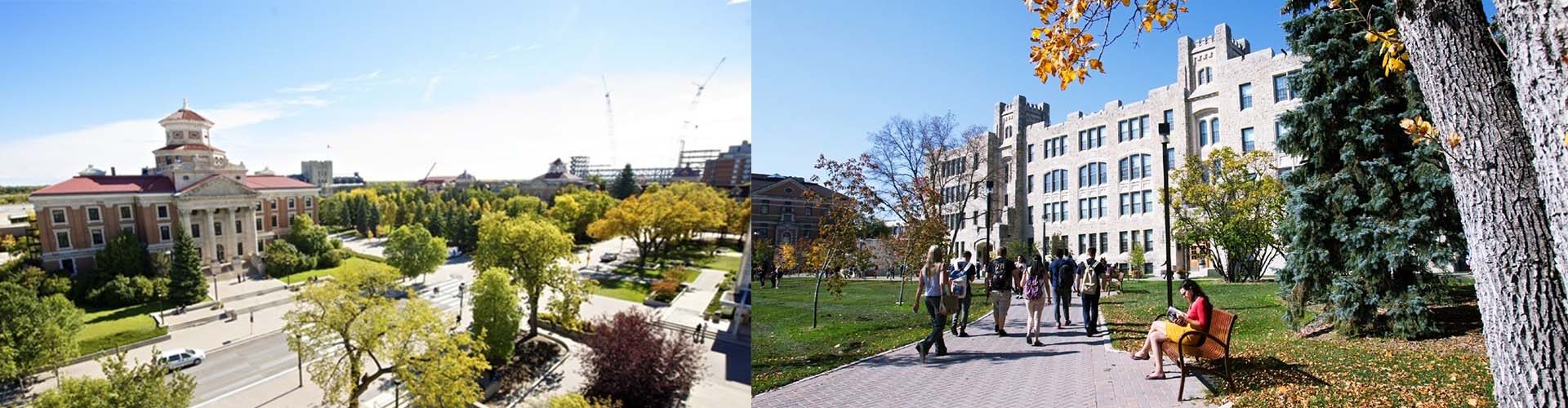 매니토바 대학교