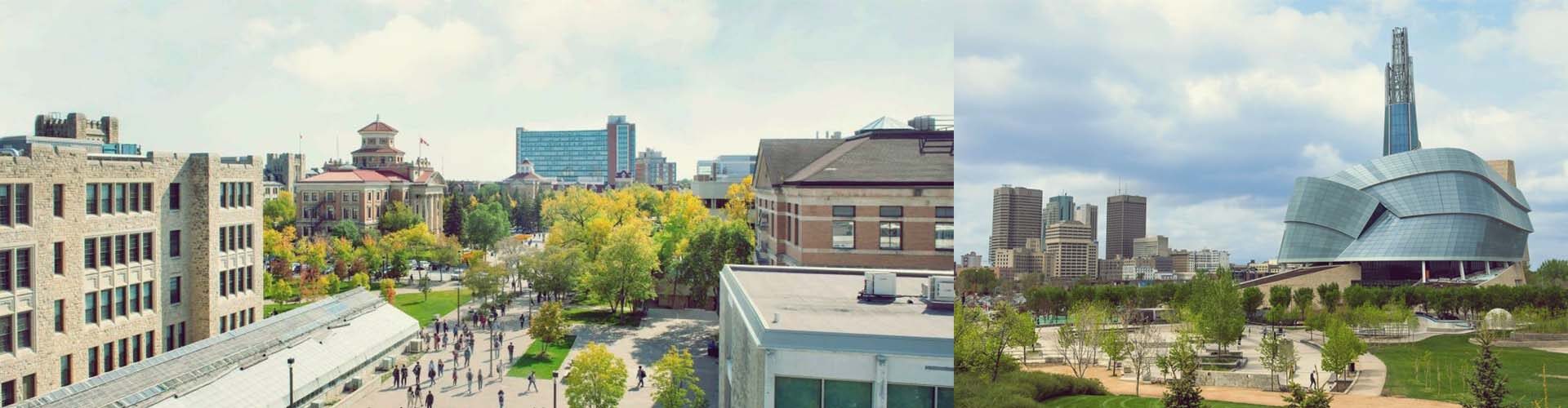 매니토바 대학교