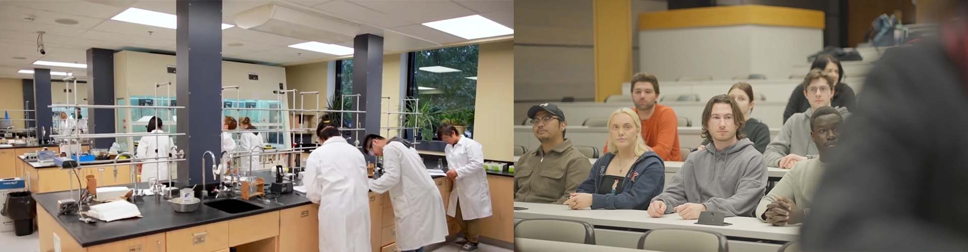 매니토바 대학교