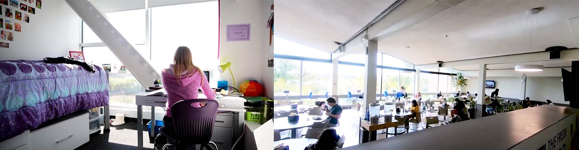 매니토바 대학교