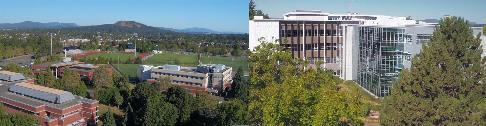 빅토리아대학교