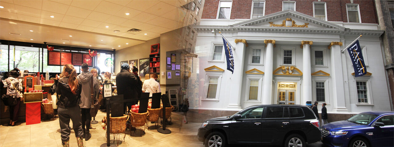 페이스대학교 Pace University