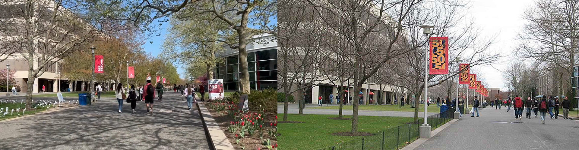 뉴욕주립대학교 스토니브룩