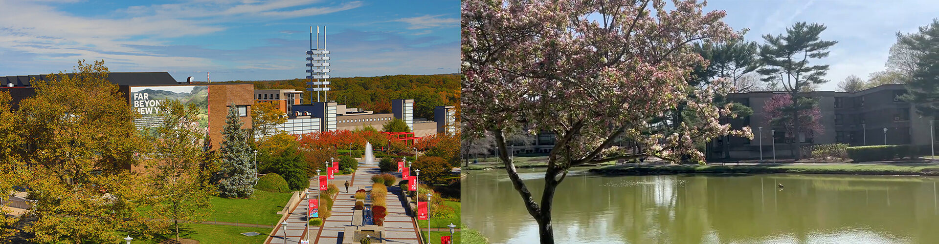 뉴욕주립대학교 스토니브룩