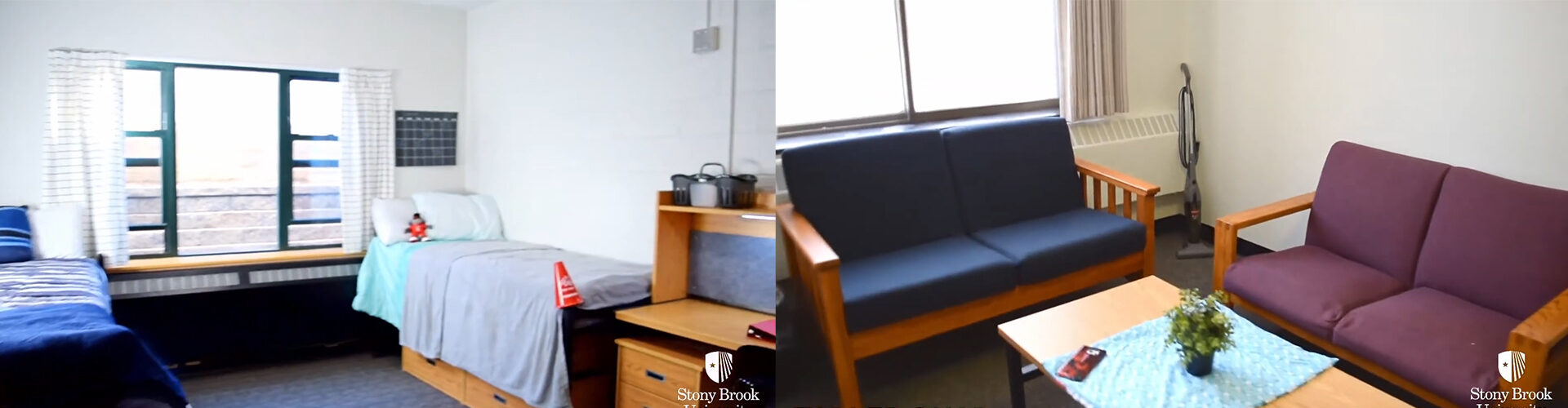 뉴욕주립대학교 스토니브룩