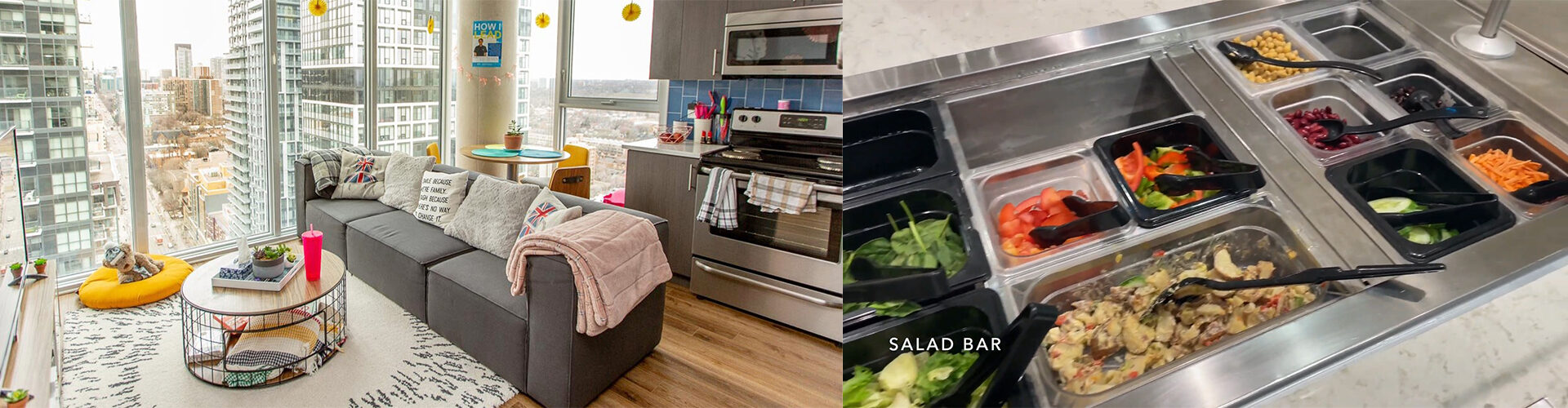 TMU, Toronto Metropolitan University