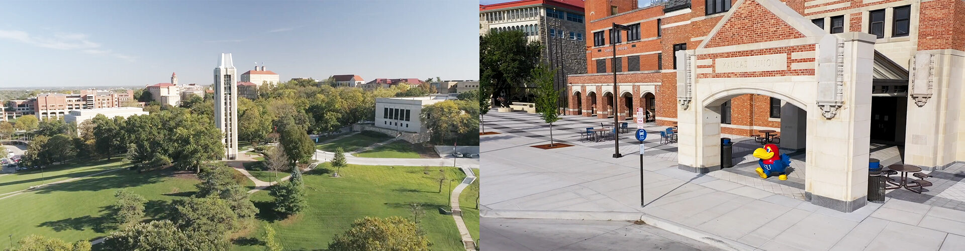 캔자스대학교 University of Kansas