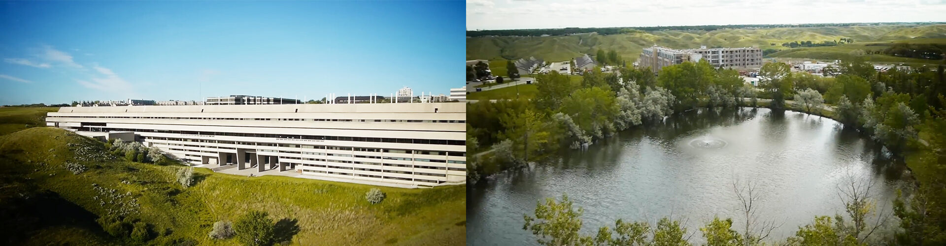 레스브릿지 대학교 University of Lethbridge