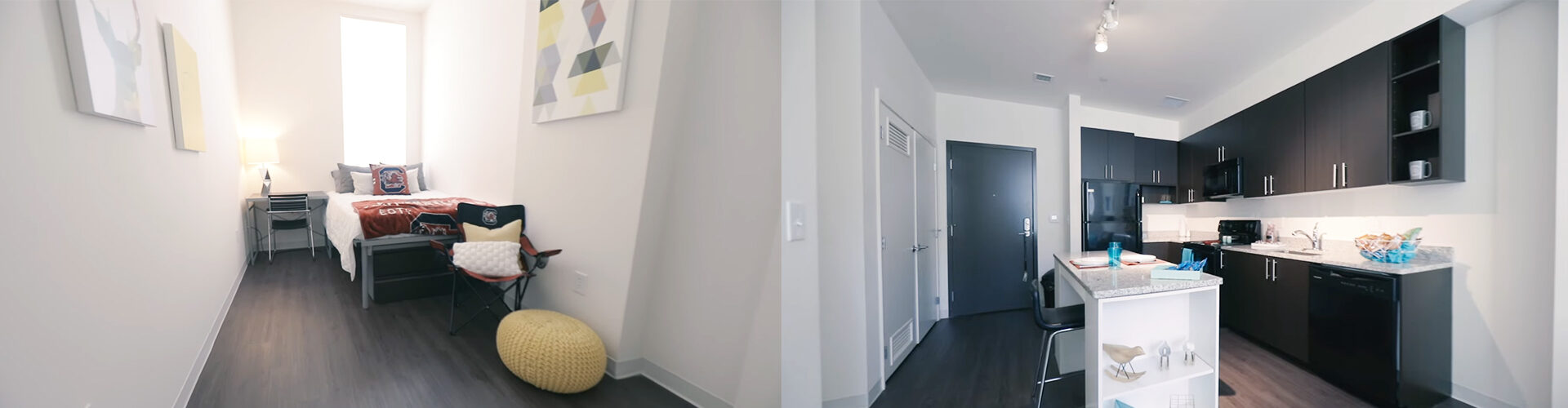 사우스 캐롤라이나 대학교 University of South Carolina