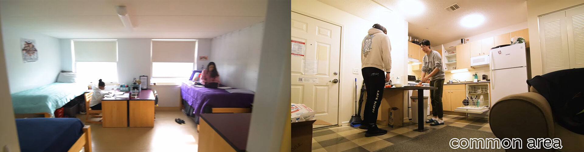 코네티컷대학교 University of Connecticut