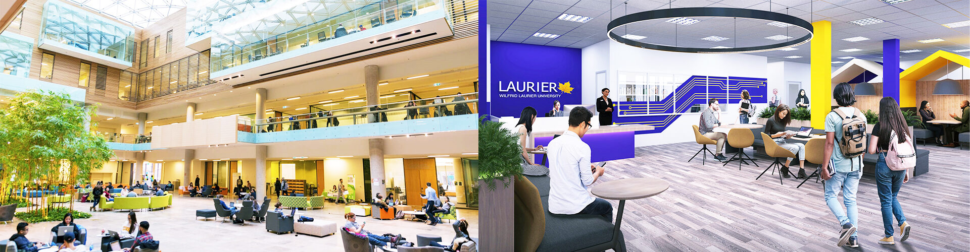 윌프리드 로리에 대학교 Wilfrid Laurier University