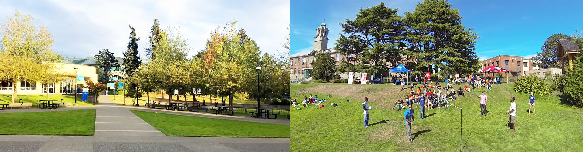 카모선 컬리지 Camosun College