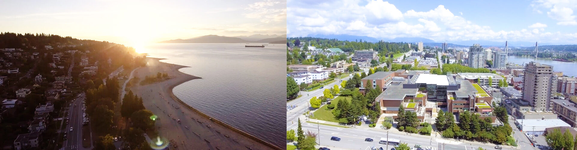 더글라스 컬리지 Dougals College