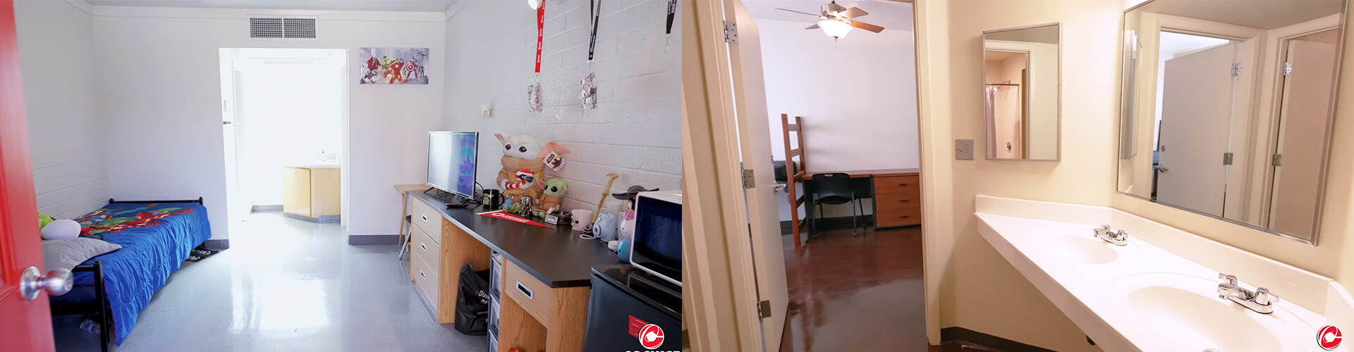 더글라스 컬리지 Dougals College