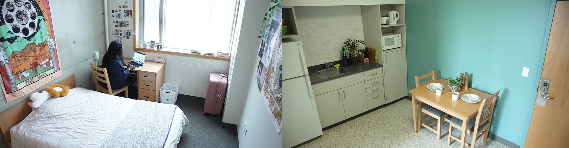 험버 컬리지 Humber College