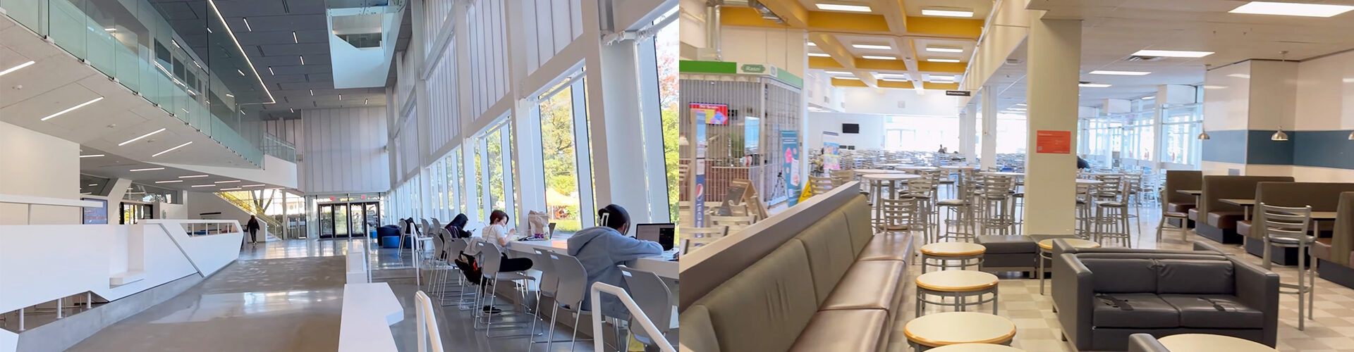 랑가라 컬리지 Langara College