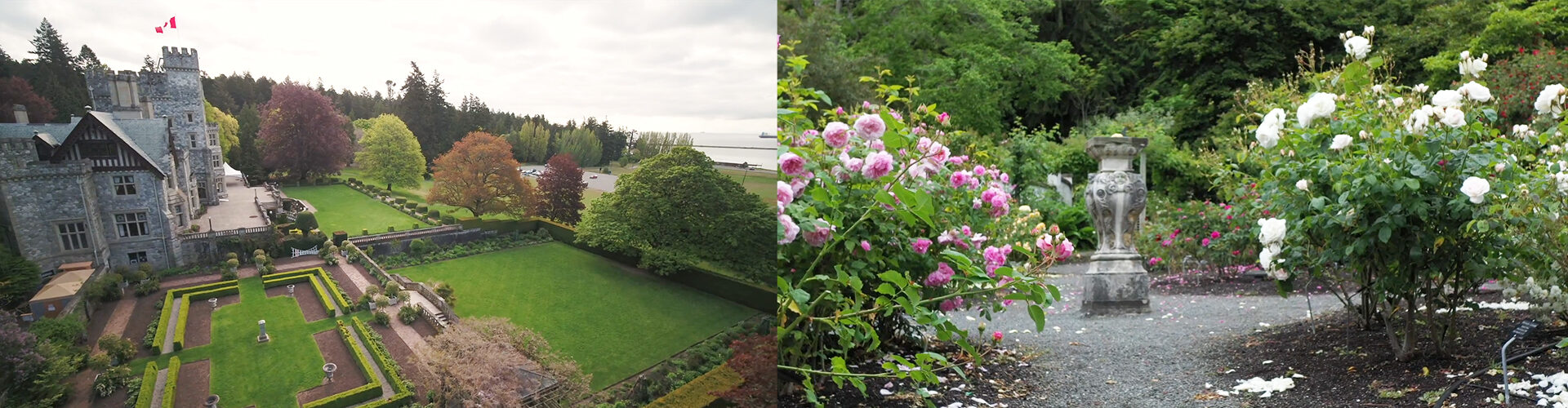 로얄로즈 대학교 Royal Roads University