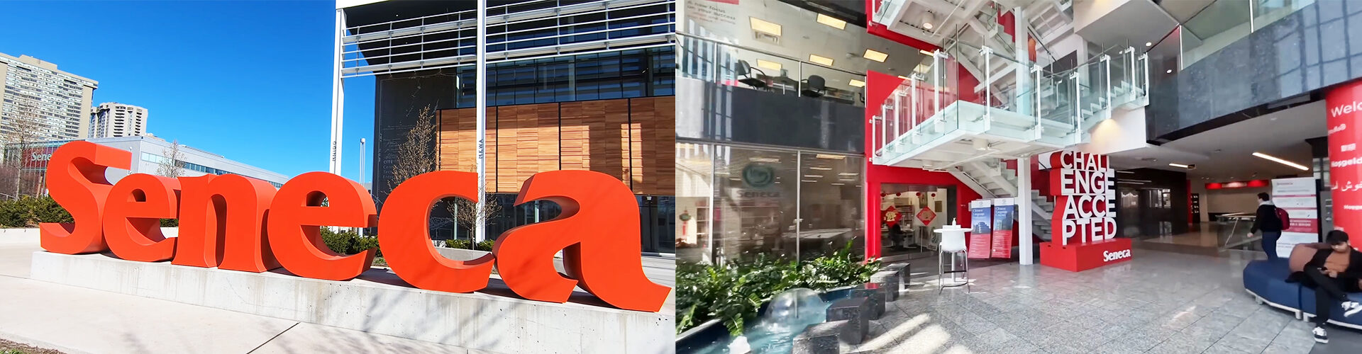 세네카 컬리지 Seneca College