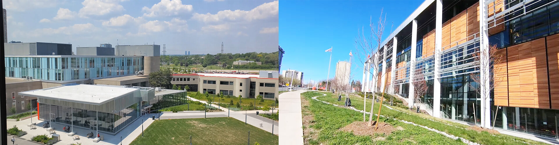 세네카 컬리지 Seneca College