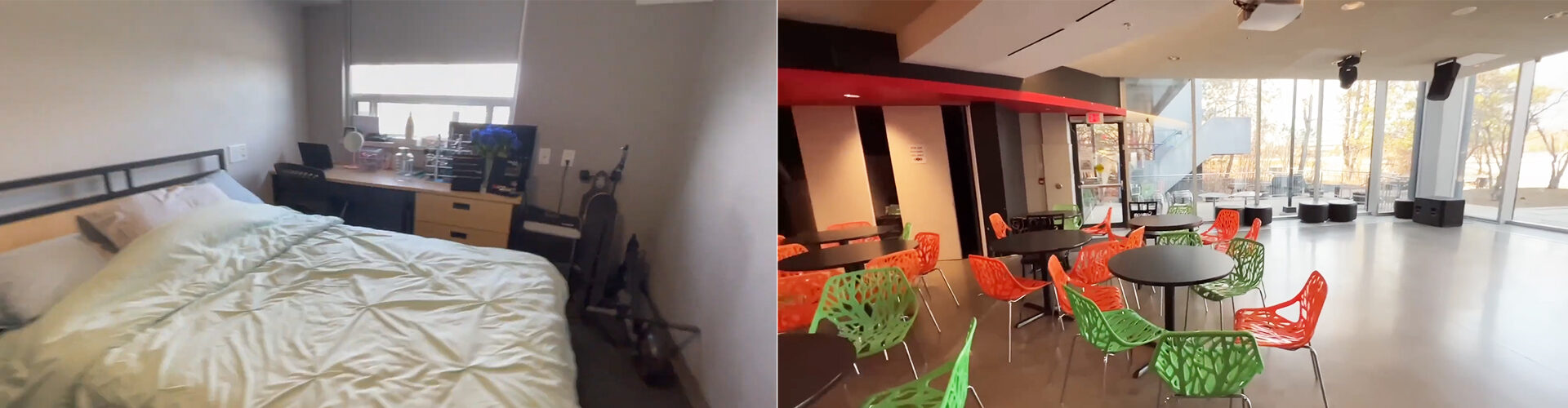 세네카 컬리지 Seneca College