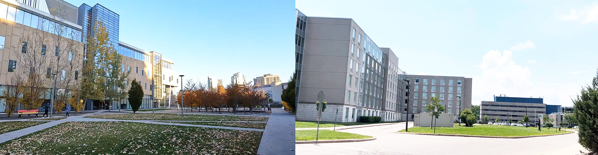 쉐리던 컬리지 Sheridan College