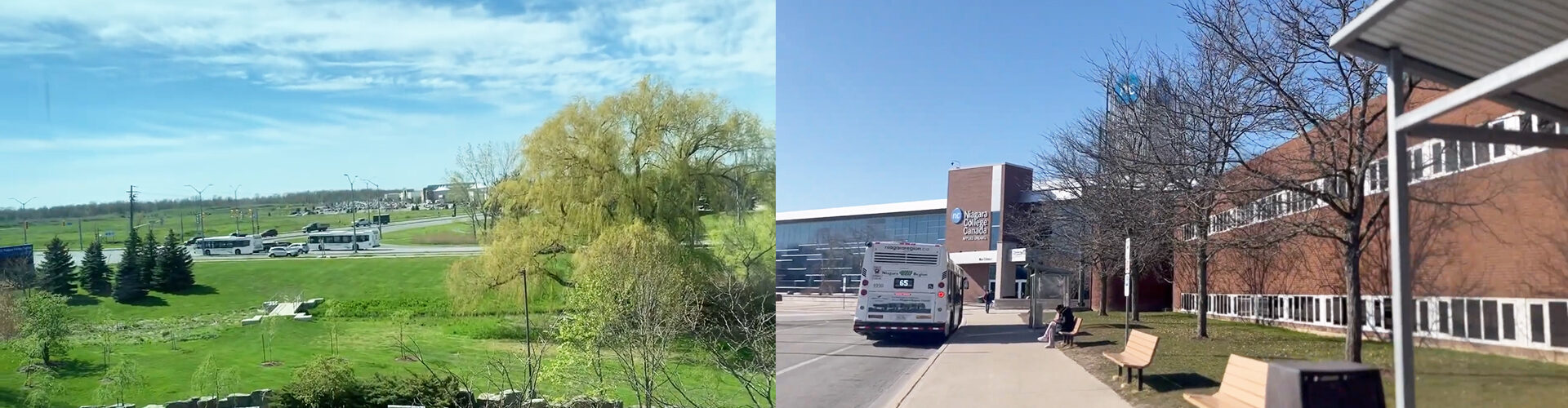 나이아가라 컬리지 Niagara College