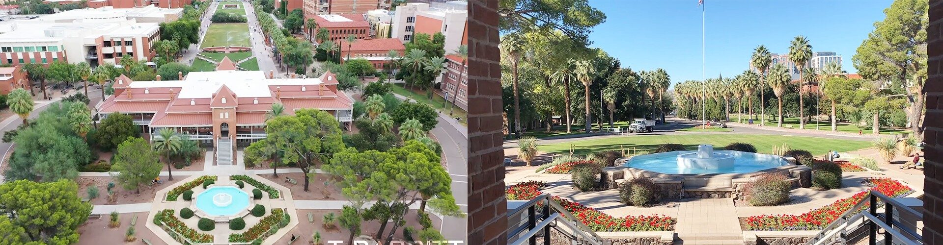 애리조나 대학교 University of Arizona