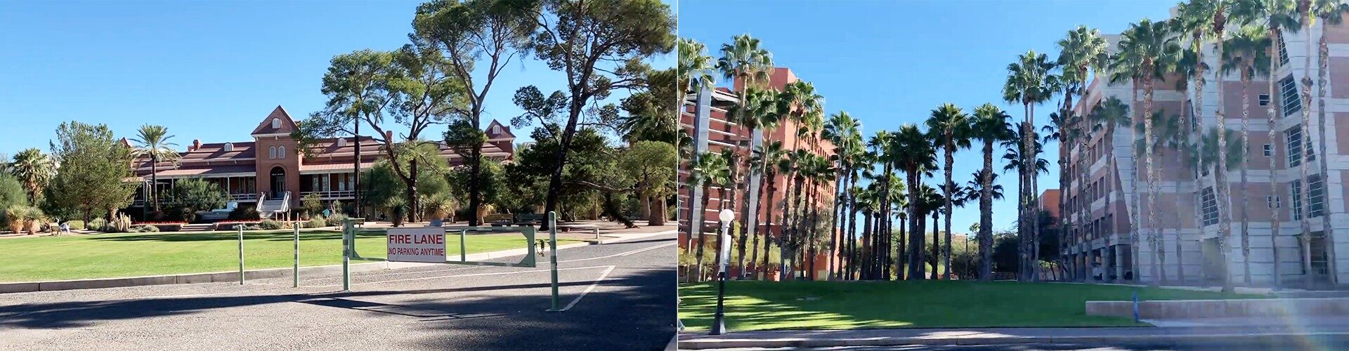 애리조나 대학교 University of Arizona