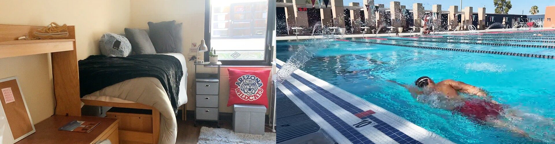 애리조나 대학교 University of Arizona