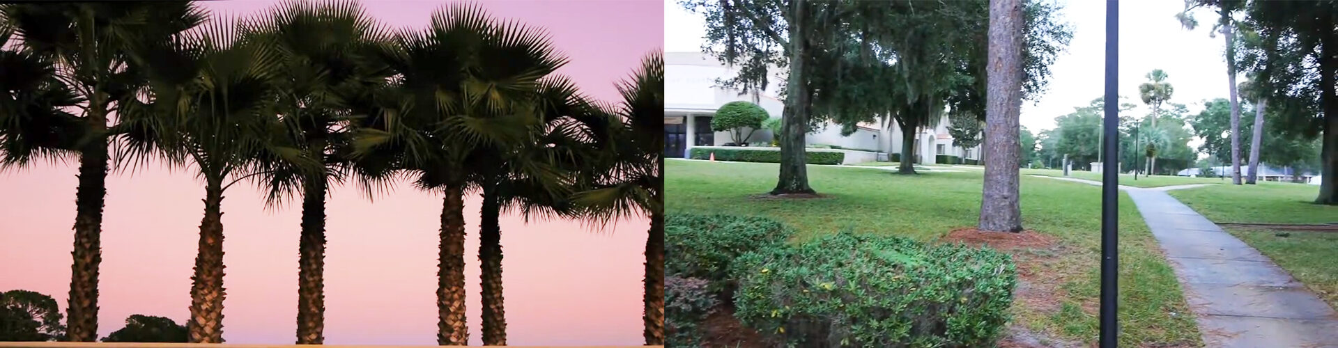 포레스트 레이크 아카데미 Forest Lake Academy 가 위치한 도시 플로리다 Apopka