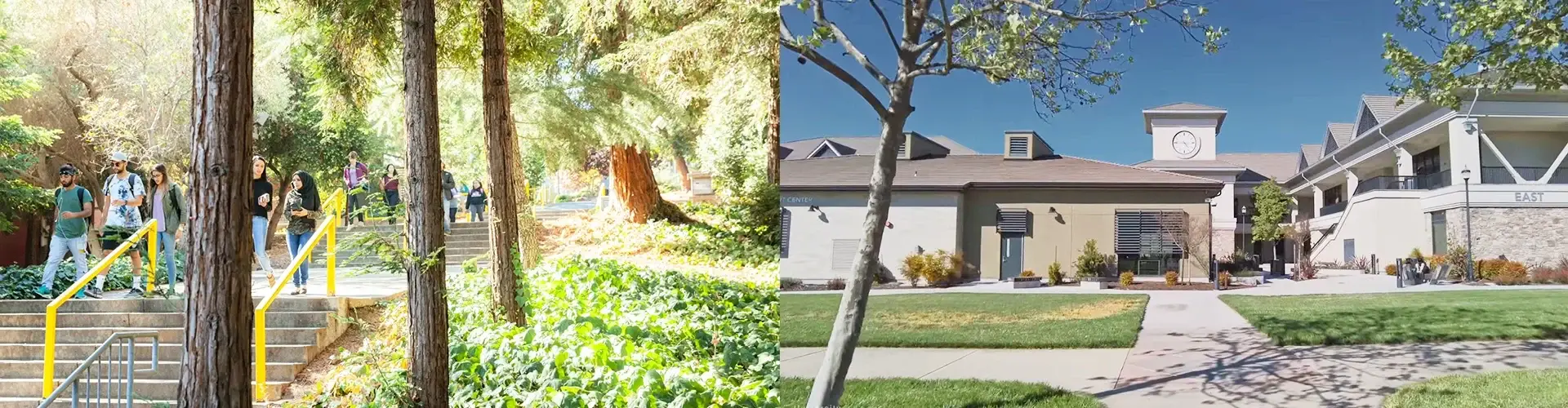 Diablo Valley College Life Webp