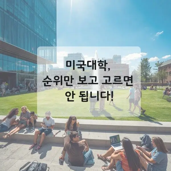WP Image
